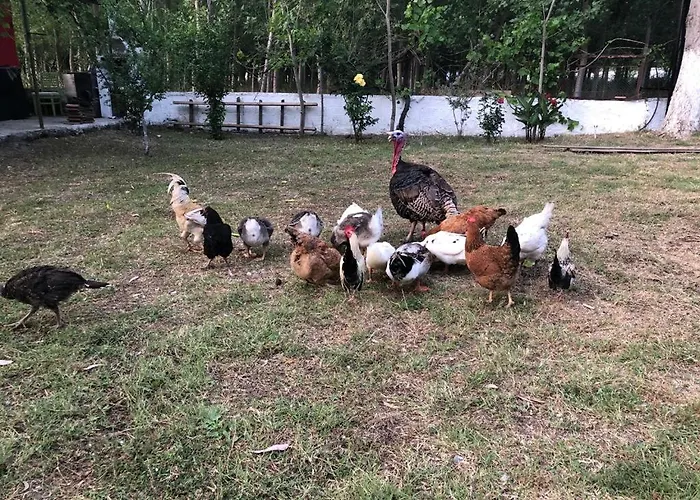 ホテル Likya Saklibahce *