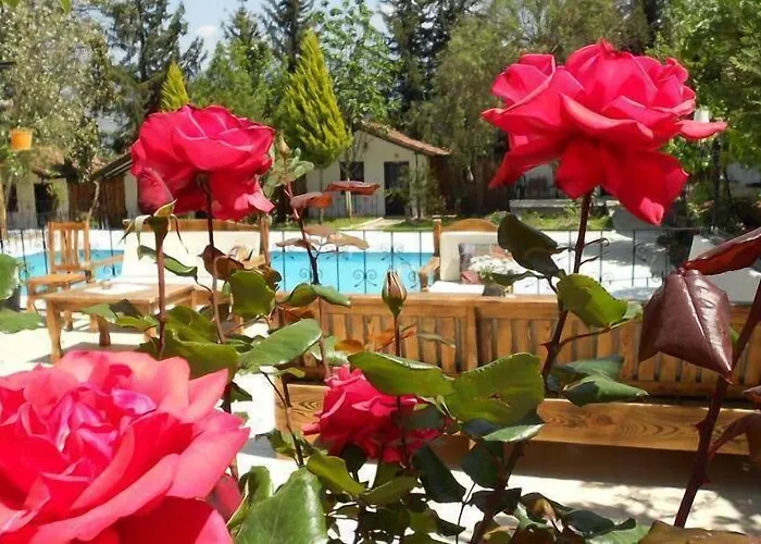 Likya Saklibahce * קמר